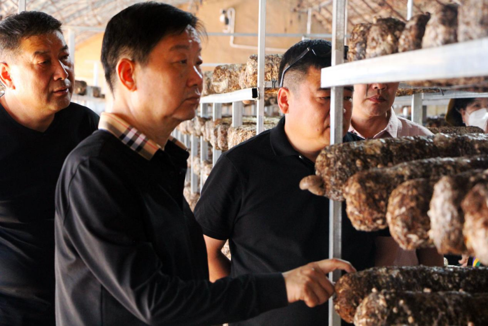 合作共贏 優(yōu)勢互補 打造菌菇產(chǎn)業(yè)新高地——岳氏集團(tuán)董事長岳平安一行到大武口區(qū)菌菇產(chǎn)業(yè)園交流考察