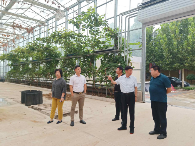 岳氏集團董事長岳平安一行考察廊坊市長征現代農業(yè)創(chuàng)意產業(yè)園
