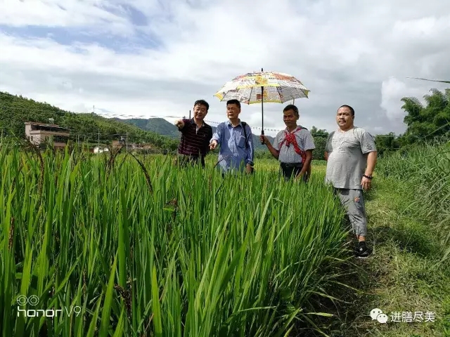 岳平安董事長(zhǎng)赴廣東考察康養(yǎng)小鎮(zhèn)和量子水稻種植基地